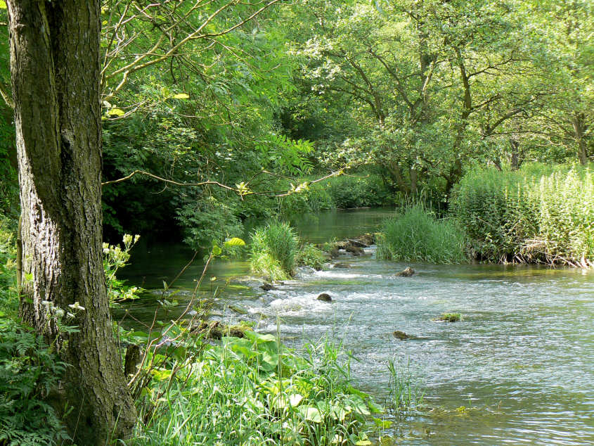 River Dove River Dove